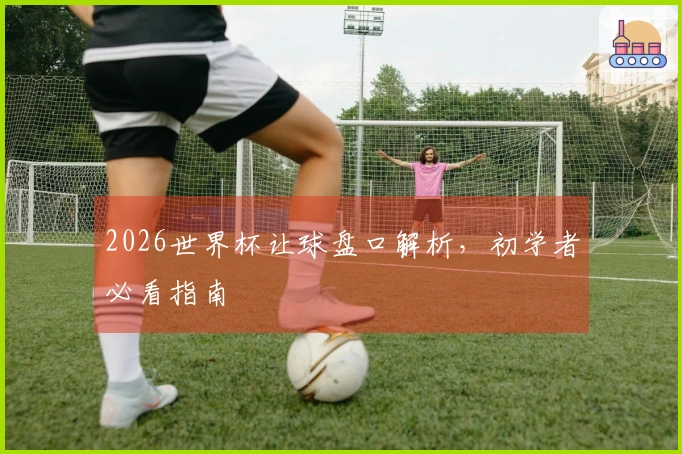 2026世界杯让球盘口解析，初学者必看指南