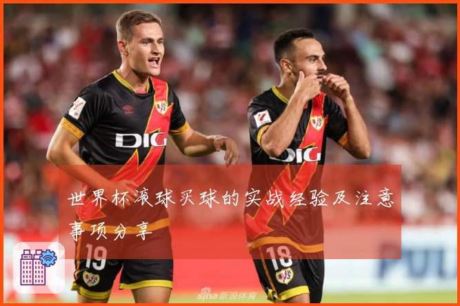 世界杯滚球买球的实战经验及注意事项分享