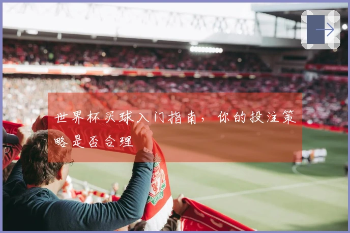 世界杯买球入门指南,你的投注策略是否合理