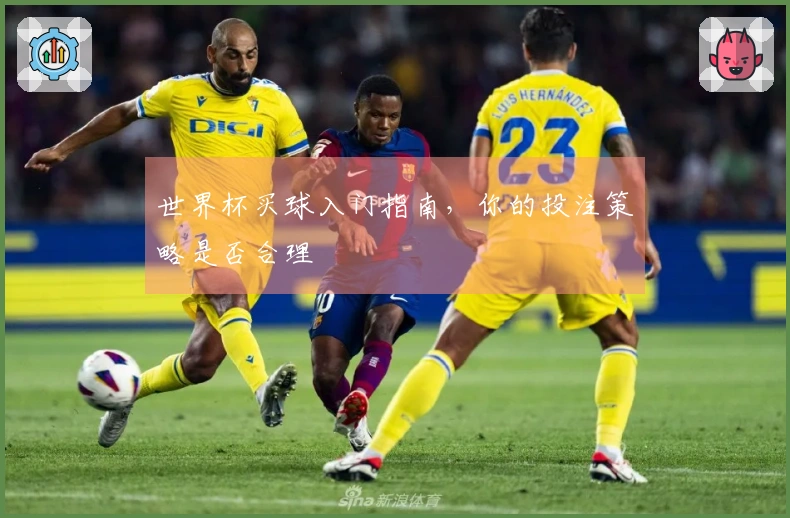世界杯买球入门指南，你的投注策略是否合理