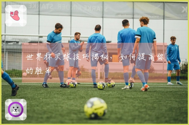 世界杯买球技巧揭秘，如何提高你的胜率