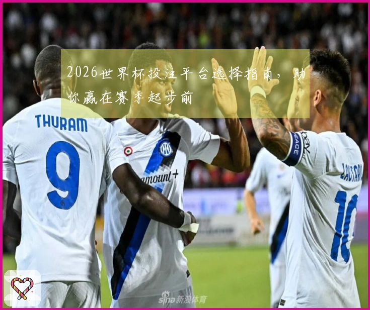 2026世界杯投注平台选择指南，助你赢在赛季起步前