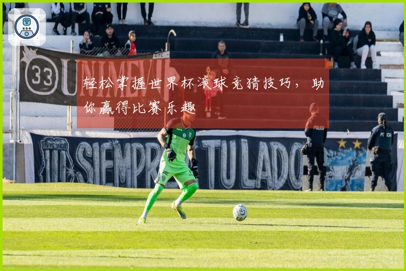 轻松掌握世界杯滚球竞猜技巧，助你赢得比赛乐趣