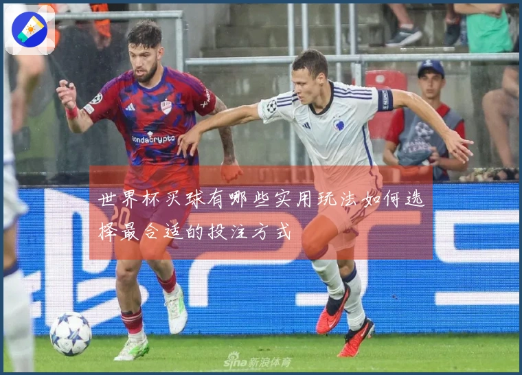 世界杯买球有哪些实用玩法如何选择最合适的投注方式