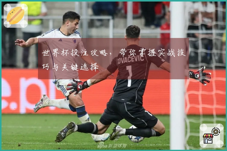 世界杯投注攻略，带你掌握实战技巧与关键选择