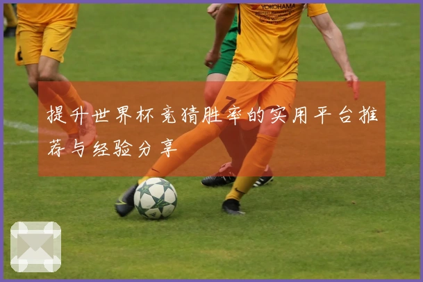 提升世界杯竞猜胜率的实用平台推荐与经验分享