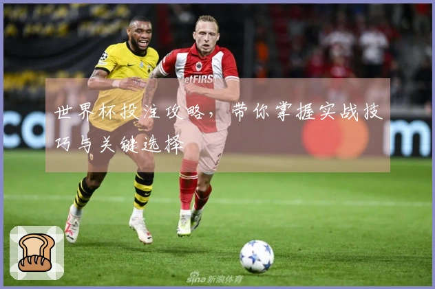世界杯投注攻略，带你掌握实战技巧与关键选择