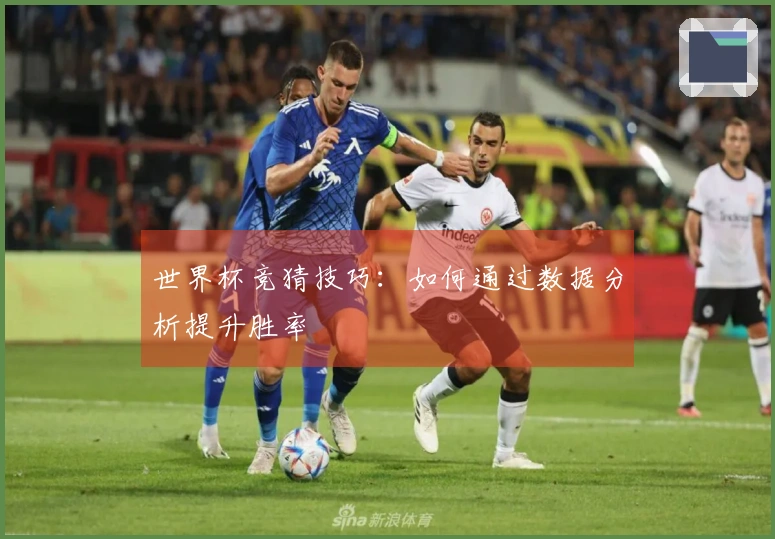 世界杯竞猜技巧：如何通过数据分析提升胜率