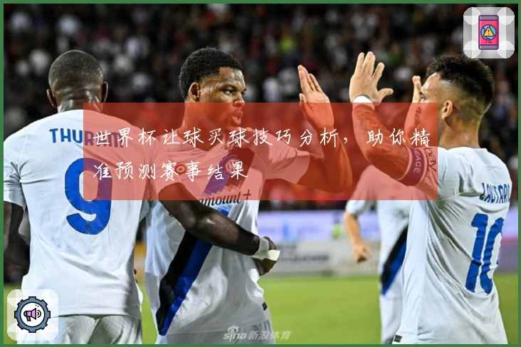 世界杯让球买球技巧分析，助你精准预测赛事结果