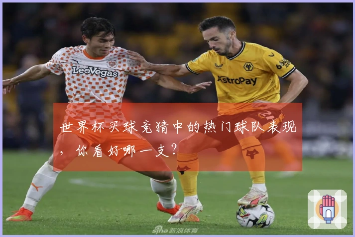 世界杯买球竞猜中的热门球队表现，你看好哪一支？