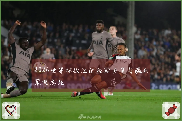 2026世界杯投注的经验分享与赢利策略总结