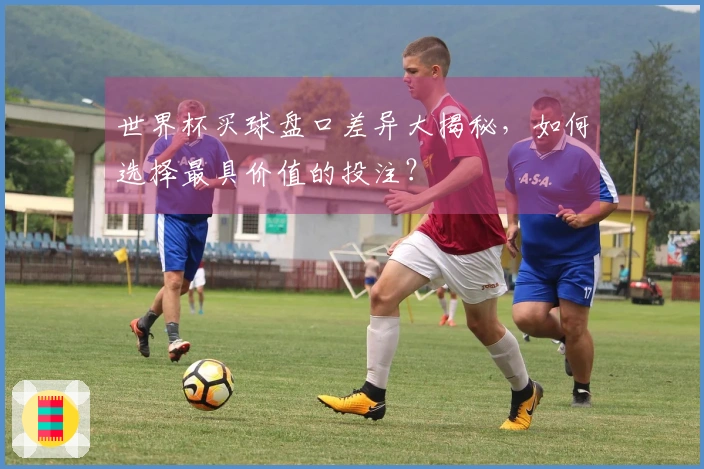 世界杯买球盘口差异大揭秘，如何选择最具价值的投注？