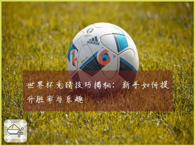 世界杯竞猜技巧揭秘：新手如何提升胜率与乐趣