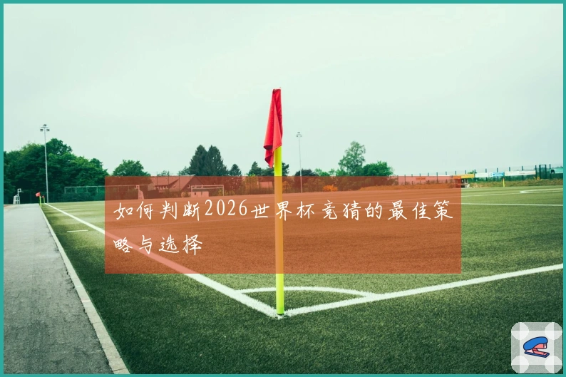如何判断2026世界杯竞猜的最佳策略与选择