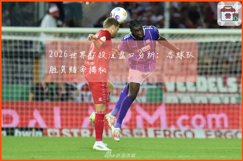 2026世界杯投注盘口分析：各球队胜负赔率揭秘