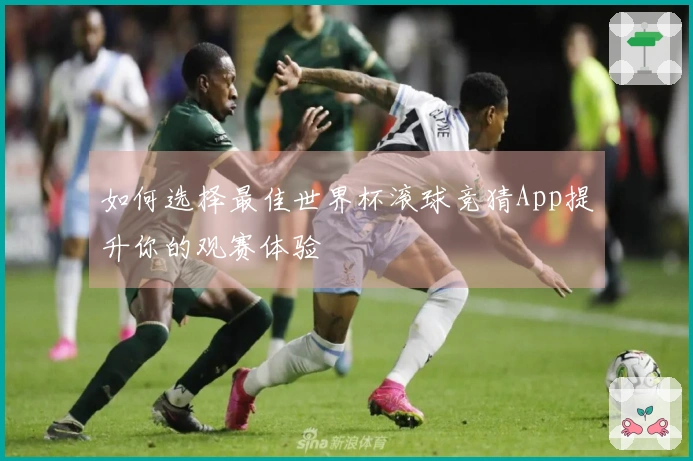 如何选择最佳世界杯滚球竞猜App提升你的观赛体验