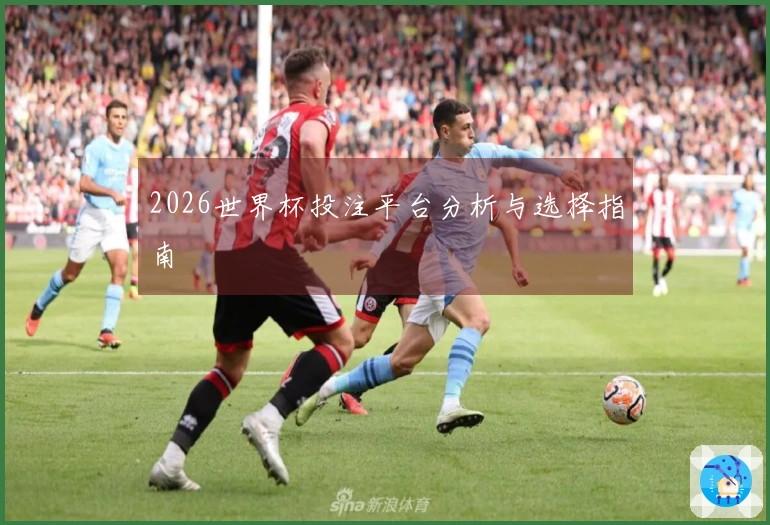2026世界杯投注平台分析与选择指南