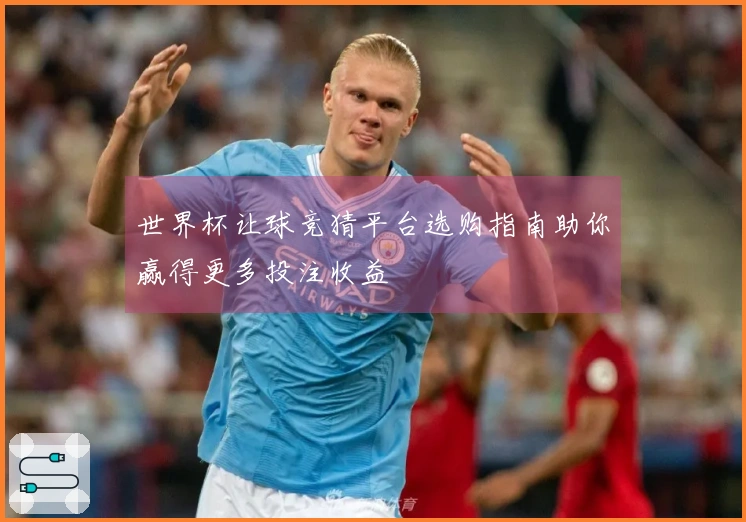 世界杯让球竞猜平台选购指南助你赢得更多投注收益